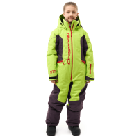 Dragonfly Комбинезон утепленный Gravity Teenager Lime - Plum 2025 в Тюмени