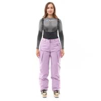 Dragonfly Штаны горнолыжные утепленные Gravity 2025 Woman Purple в Тюмени